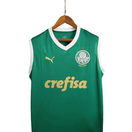 Regata Palmeiras Home Puma 24/25 Torcedor -  Verde